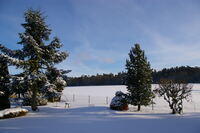 Winterlandschaft